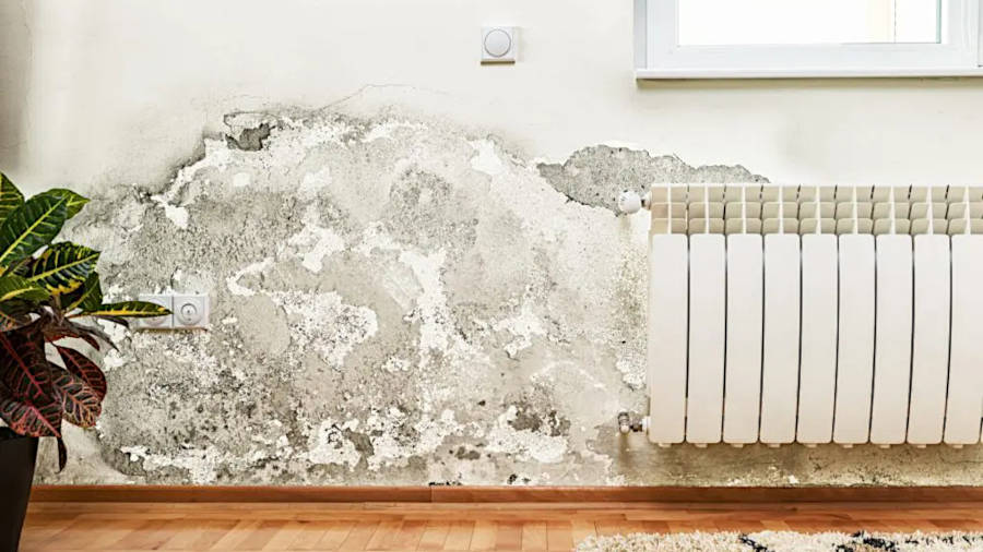 Ursachen für das Eindringen von Feuchtigkeit in die Bausubstanz können bauliche Schäden und Nutzerverhalten sein. Durch eine Beschädigung der Feuchtigkeitssperre oder falls keine Feuchtigkeitssperre existiert, kann Feuchtigkeit durch das Erdreich eindringen. Feuchtigkeit kann auch durch defekte Wasserleitungen oder Heizungsleitungen in die Wände eindringen. Um die Bausubstanz zu schützen, sind diese baulichen Mängel zunächst zu beseitigen und die eingedrungene Feuchtigkeit bzw. Nässe zeitnah und nachhaltig zu beseitigen. Kondensation, also dem Niederschlagen von Feuchtigkeit aus der Raumluft ist der häufigste Grund für Schimmel und Bauschäden. Die niedergeschlagene Feuchtigkeit entsteht durch einen zu hohen Temperaturunterschied zwischen Lufttemperatur und Wandtemperatur. Vereinfacht kann man sagen, dass bei mehr als 5° Celsius Temperaturunterschied zwischen Raumluft und Wandoberfläche sich Feuchtigkeit an den Oberflächen niederschlägt. Häufige Ursachen für zu hohe Luftfeuchtigkeit sind Bauart bedingte Kältebrücken (Außentemperatur wirkt sich an punktuellen Stellen kühlend auf die Oberfläche aus), fehlendes, bzw. falsches Lüften. Auch zu niedrigen Raumtemperaturen, also falschem Heizen, führt zur Kondensation. Baufeuchtigkeit ist die häufigste Ursache für hohe Sanierungskosten. Da die Sockelheizleiste die Oberflächentemperatur der Bausubstanz homogen erhöht, kann sich zum einen kein Kondensat niederschlagen und zum anderen wird die Bausubstanz nachhaltig getrocknet und trocken gehalten. Durch die erwärmten Oberflächen, verdunstet so die Feuchtigkeit auf der Oberfläche. Da nun keine Feuchtigkeit mehr auf der Oberfläche ist, diffundiert (wandert die Feuchtigkeit von Innen zur wärmeren Seite) die Feuchtigkeit in Richtung der Oberfläche und verdunstet ebenso. Dieser Vorgang wiederholt sich so lange, bis die Bausubstanz getrocknet ist. Damit die Sockelheizleiste die Bausubstanz trocknen kann, müssen zuvor die vorhandenen Bauschäden beseitigt werden. Da z.B. bei alten Gebäuden, mit Gründung direkt ins Erdreich, die Feuchtigkeitszufuhr nur schwer oder gar nicht unterbunden werden kann, muss diese so weit eingedämmt werden, dass weniger Feuchtigkeit eindringt, als abgeführt werden kann. Mit der Erhöhung der Oberflächentemperaturen trägt die Sockelheizleiste zum nachhaltigen Schutz der Bausubstanz bei.